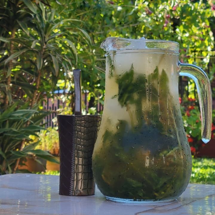Tereré premium (guampa)